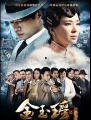 电视剧金玉瑶在线观看,传奇女子的逆袭之路  第2张