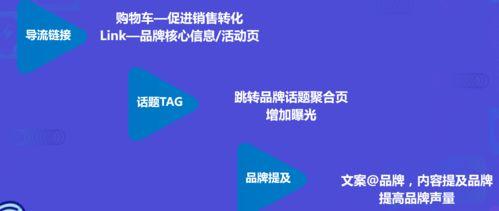 短视频创作爆料,爆款内容是如何诞生的? 第1张 短视频创作爆料,爆款内容是如何诞生的? 第1张