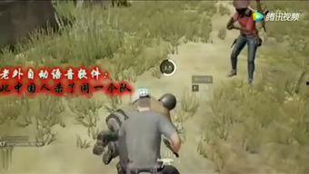 坤哥游戏爆料大全最新,揭秘最新游戏资讯与热门游戏攻略  第1张