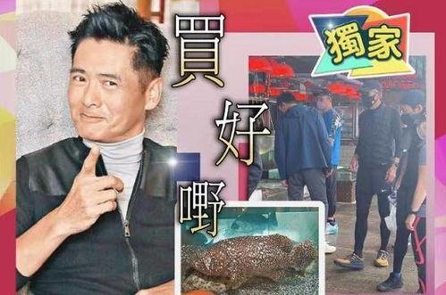利哥爆料九红被打视频,真相背后令人震惊 第3张 利哥爆料九红被打视频,真相背后令人震惊 第3张