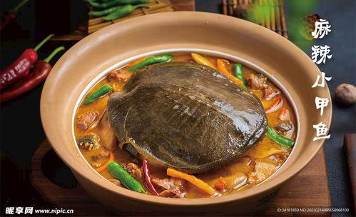 麻辣甲鱼爆料视频教程下载,轻松学会家常美味,一招解锁烹饪新境界 第2张 麻辣甲鱼爆料视频教程下载,轻松学会家常美味,一招解锁烹饪新境界 第2张