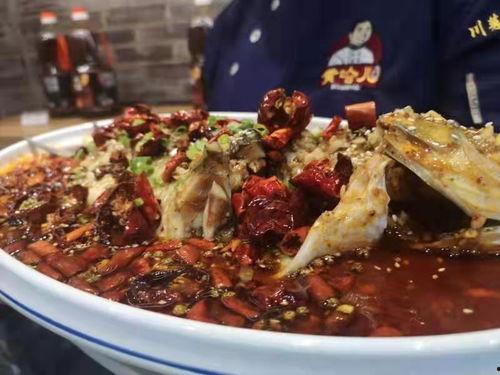 麻辣甲鱼爆料视频教程下载,轻松学会家常美味,一招解锁烹饪新境界 第3张 麻辣甲鱼爆料视频教程下载,轻松学会家常美味,一招解锁烹饪新境界 第3张