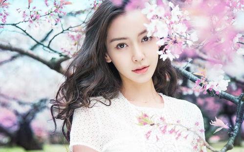 娱乐爆料秋瓷炫是谁的女儿,揭秘韩国明星背后的中国血统  第2张