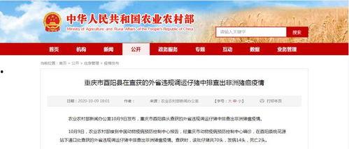 竹山农香最新爆料新闻报道 第2张 竹山农香最新爆料新闻报道 第2张