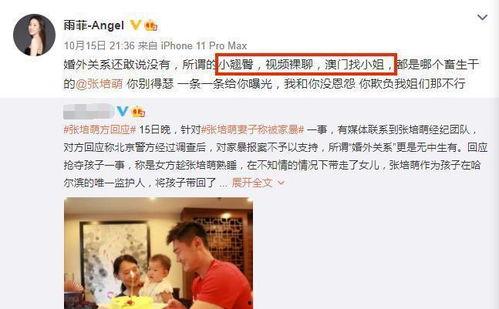 刘伟爆料家暴视频大全集,揭秘娱乐圈黑暗面  第1张