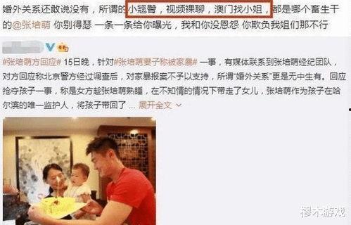 刘伟爆料家暴视频大全集,揭秘娱乐圈黑暗面  第2张