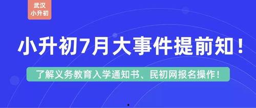 东城小升初爆料事件视频,揭秘教育资源配置背后的真相 第2张 东城小升初爆料事件视频,揭秘教育资源配置背后的真相 第2张