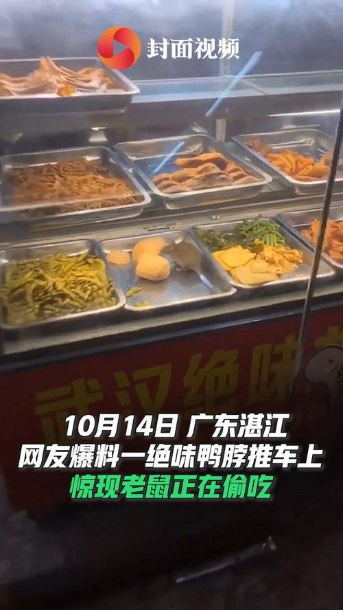 网友爆料鸭脖视频大全下载,鸭脖视频大全下载引发网络狂欢 第3张 网友爆料鸭脖视频大全下载,鸭脖视频大全下载引发网络狂欢 第3张