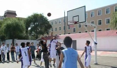 哈尔滨中学爆料事件视频,揭开校园内幕的真相