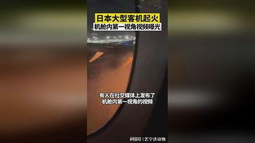 第一视角爆料视频,独家爆料视频背后的故事 第2张 第一视角爆料视频,独家爆料视频背后的故事 第2张