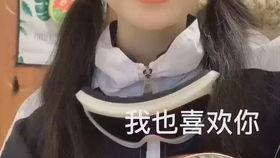 绝世陈逗逗爆料视频大全,揭秘爆笑视频背后的欢乐故事 第2张 绝世陈逗逗爆料视频大全,揭秘爆笑视频背后的欢乐故事 第2张