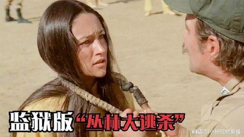 草芥 电影在线观看,尘世浮沉中的悲欢人生