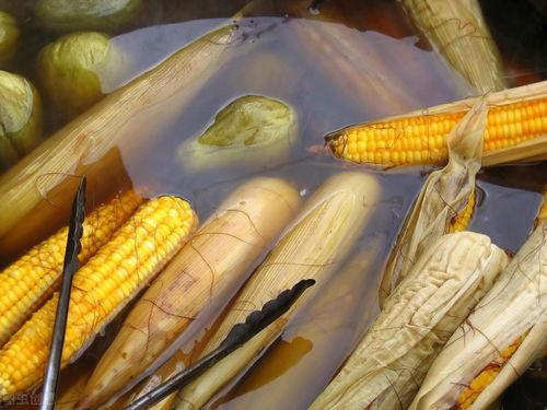 玉米最新爆料视频,惊人内幕曝光! 第3张 玉米最新爆料视频,惊人内幕曝光! 第3张