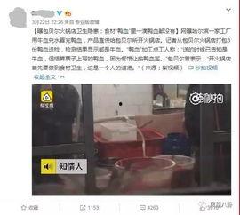 某火锅店爆料视频大全集,揭秘行业幕后真相 第3张 某火锅店爆料视频大全集,揭秘行业幕后真相 第3张