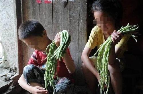江西姐弟网红吃瓜,揭秘网络红人的瓜田生活 第3张 江西姐弟网红吃瓜,揭秘网络红人的瓜田生活 第3张