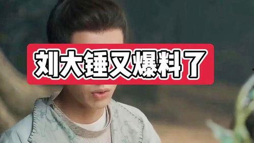 娱乐圈刘大锤爆料视频,揭秘明星背后的惊人真相 第2张 娱乐圈刘大锤爆料视频,揭秘明星背后的惊人真相 第2张