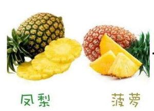 凤梨爆料视频大全最新版,最新版精彩内容大盘点 第2张 凤梨爆料视频大全最新版,最新版精彩内容大盘点 第2张