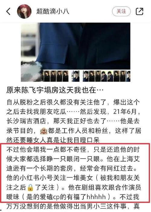 陈飞宇爆料后续视频播放,揭秘事件真相与幕后故事