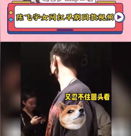 陈飞宇爆料后续视频播放,揭秘事件真相与幕后故事  第2张