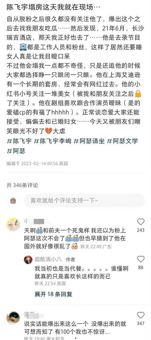 陈飞宇爆料后续视频播放,揭秘事件真相与幕后故事  第3张