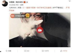 爆料白百何完整视频