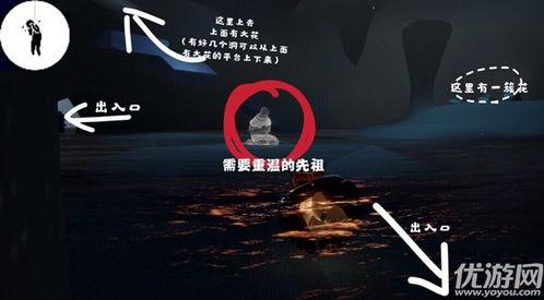 最新先祖爆料新闻直播,直播揭秘家族历史之谜  第2张