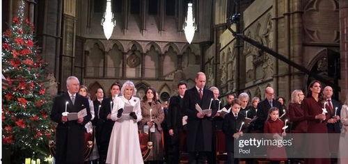 英国王室的爆料视频,英国王室内部爆料视频曝光惊人内幕  第2张