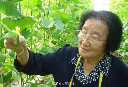 娱乐吃瓜君王鸥是谁啊,王鸥的星光之路  第2张