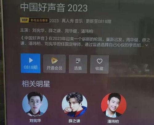 好声音制作人爆料视频,制作人亲述节目精彩瞬间与幕后故事  第3张