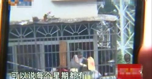 深圳小区胡小姐爆料视频,揭秘社区生活背后故事