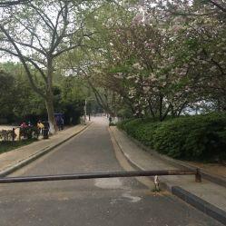 甘棠公园爆料视频,公园美景与趣事一网打尽  第2张