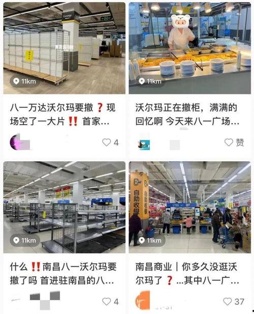 最新国际爆料网站大全图片,图片揭示网络秘密角落  第2张