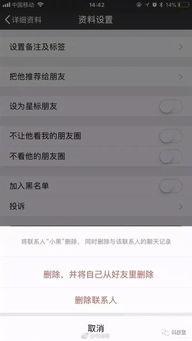 微信最新爆料,揭秘社交巨头背后的秘密与未来趋势”  第3张
