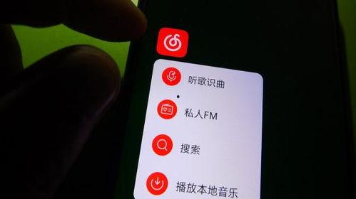 网易云最新爆料,揭秘最新音乐动态与热门歌手幕后故事  第2张