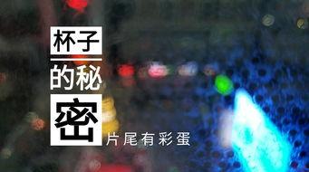 福州酒店爆料视频最新版,惊人内幕曝光！  第3张
