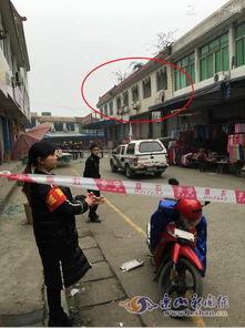 乐山最新爆料新闻事件,揭秘背后惊人真相 第2张 乐山最新爆料新闻事件,揭秘背后惊人真相 第2张