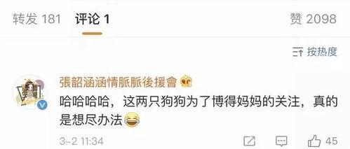 娱乐吃瓜博主起名大全,跟随吃瓜博主，畅游八卦海洋  第1张