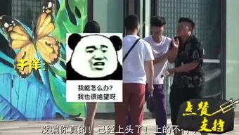 搞事视频在线观看,趣味横生，笑料百出的在线观看盛宴  第2张