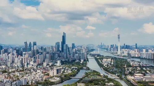 沂河新区爆料事件视频,视频揭露惊人真相