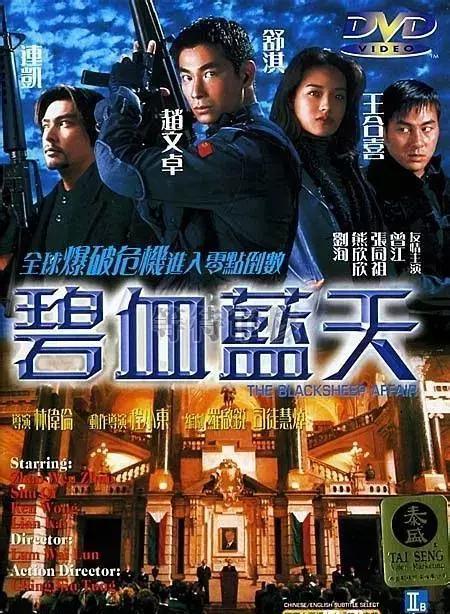 碧血蓝天国语在线观看,重温烽火岁月，共赴英雄征程  第2张