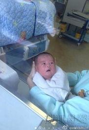 成都新生儿爆料事件最新,真相与争议交织的育儿风波