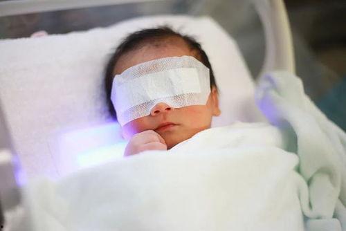 成都新生儿爆料事件最新,真相与争议交织的育儿风波  第2张