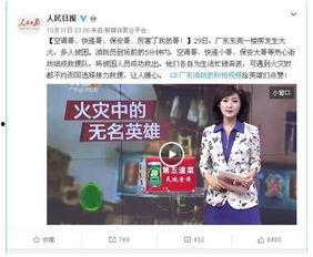 爽哥爆料网红视频大全在线观看,网红视频大全，精彩瞬间在线观看  第3张