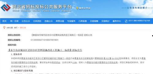 秦皇岛最新爆料消息,揭秘神秘项目背后的真相  第2张