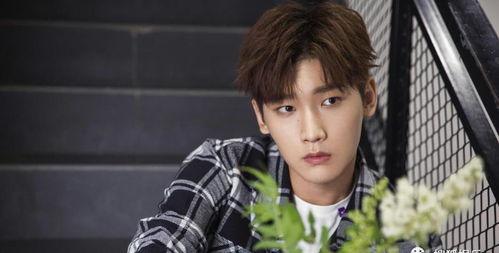 圈内爆料徐璐开吃,娱乐圈新动态曝光