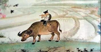 老牧童爆料视频  第2张