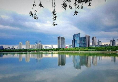 哈尔滨松北区最新爆料,揭秘神秘项目背后的真相  第2张