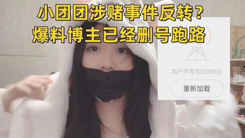 小团团被爆料什么视频,揭秘背后真相  第3张