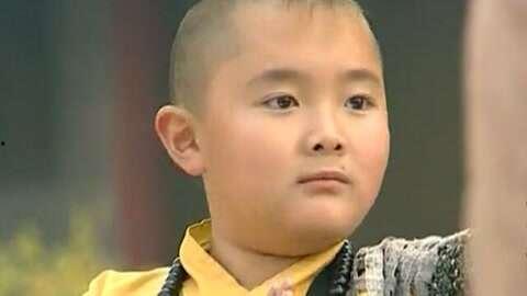 少年大钦差在线观看