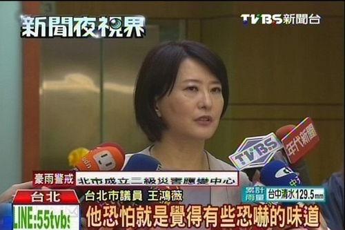 台北女绿议员爆料新闻,揭露政坛黑幕与权力斗争内幕  第3张